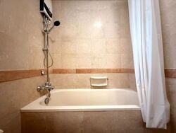 Tanglin Regency (D10), Condominium #613532001
